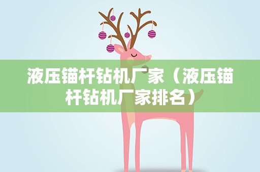 液压锚杆钻机厂家（液压锚杆钻机厂家排名）