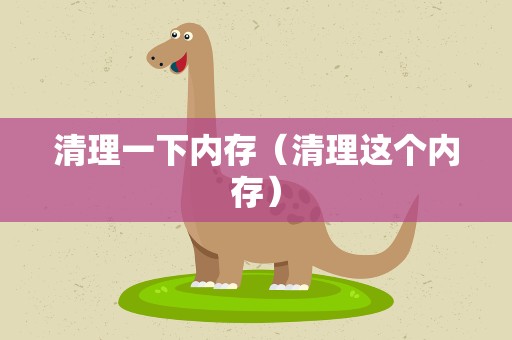 清理一下内存（清理这个内存）