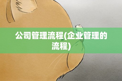 公司管理流程(企业管理的流程)