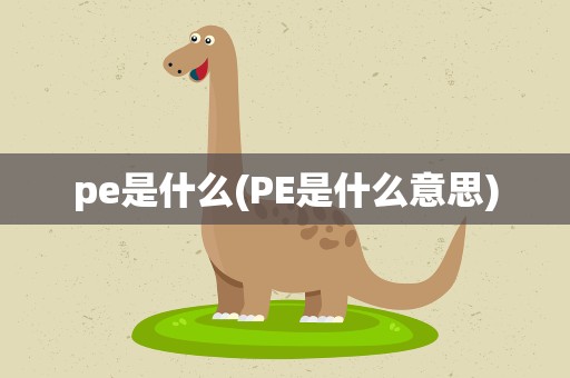pe是什么(PE是什么意思)