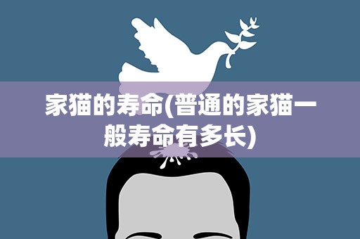 家猫的寿命(普通的家猫一般寿命有多长)