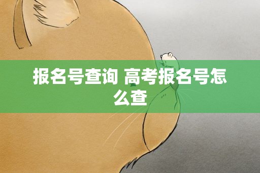 报名号查询 高考报名号怎么查
