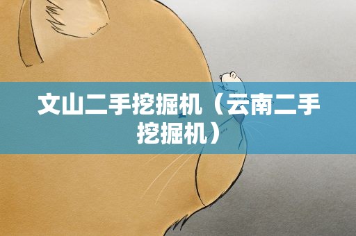 文山二手挖掘机（云南二手挖掘机）