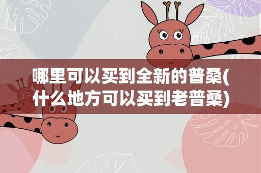 哪里可以买到全新的普桑(什么地方可以买到老普桑)