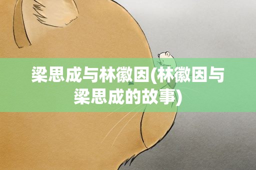 梁思成与林徽因(林徽因与梁思成的故事)