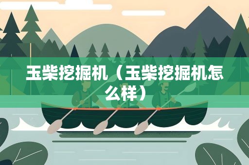 玉柴挖掘机（玉柴挖掘机怎么样）