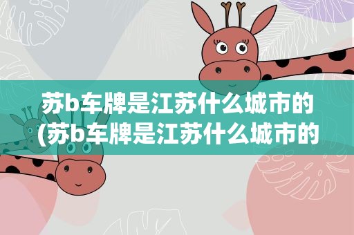 苏b车牌是江苏什么城市的(苏b车牌是江苏什么城市的车牌)