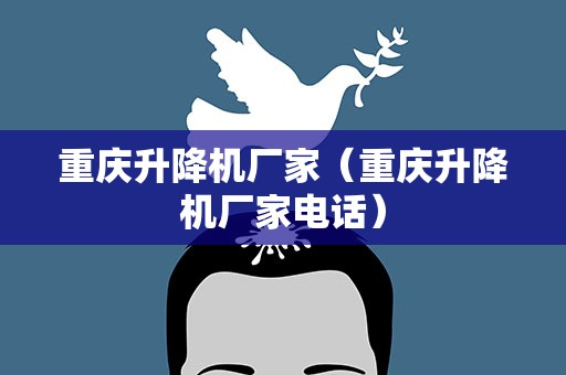 重庆升降机厂家（重庆升降机厂家电话）