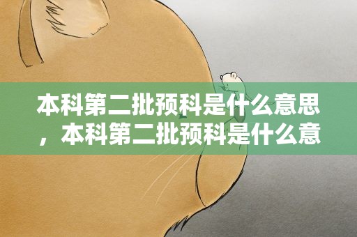 本科第二批预科是什么意思，本科第二批预科是什么意思啊