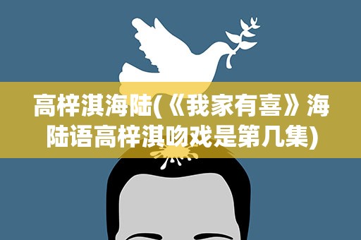 高梓淇海陆(《我家有喜》海陆语高梓淇吻戏是第几集)