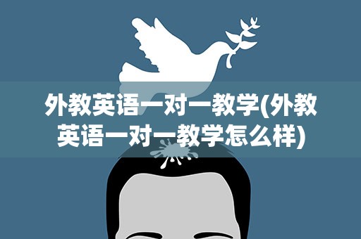 外教英语一对一教学(外教英语一对一教学怎么样)