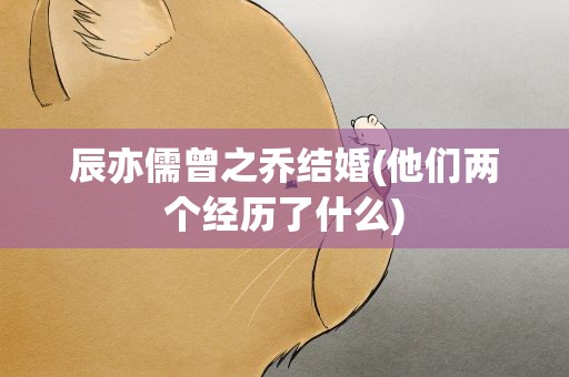 辰亦儒曾之乔结婚(他们两个经历了什么)