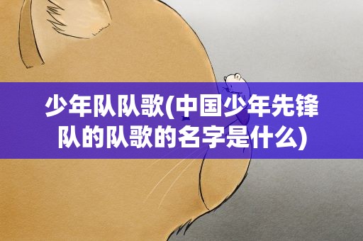 少年队队歌(中国少年先锋队的队歌的名字是什么)