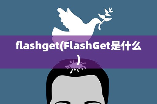 flashget(FlashGet是什么)