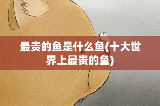 最贵的鱼是什么鱼(十大世界上最贵的鱼)