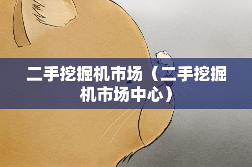 二手挖掘机市场（二手挖掘机市场中心）