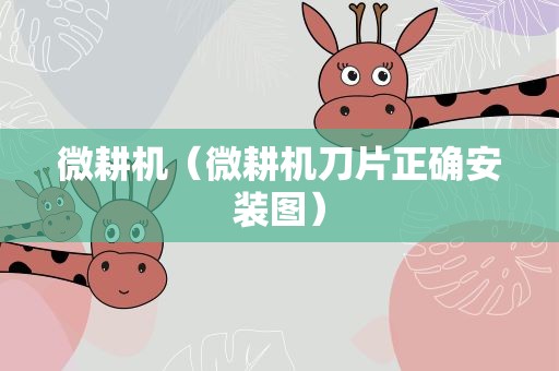 微耕机（微耕机刀片正确安装图）