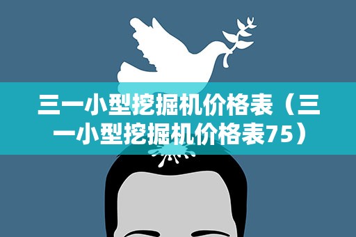 三一小型挖掘机价格表（三一小型挖掘机价格表75）