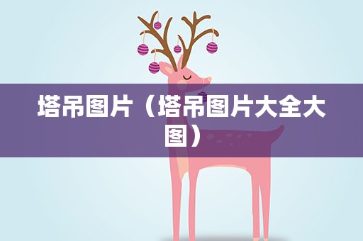 塔吊图片（塔吊图片大全大图）