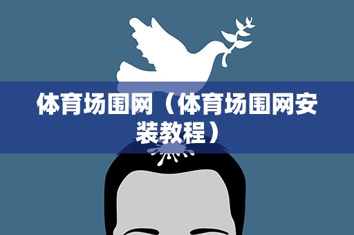 体育场围网（体育场围网安装教程）