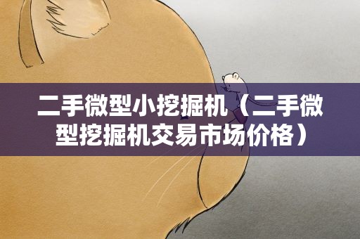 二手微型小挖掘机（二手微型挖掘机交易市场价格）