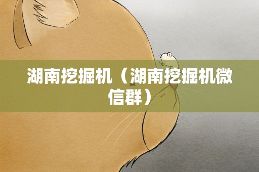 湖南挖掘机（湖南挖掘机微信群）