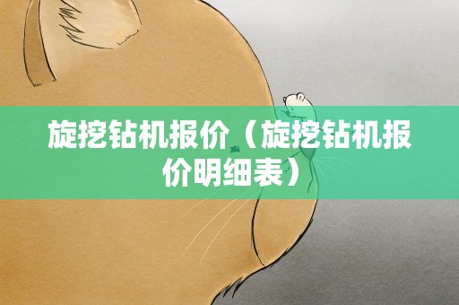 旋挖钻机报价（旋挖钻机报价明细表）