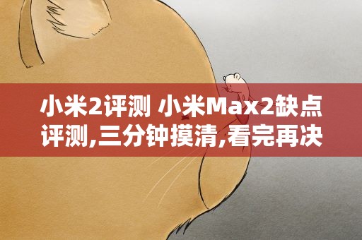 小米2评测 小米Max2缺点评测,三分钟摸清,看完再决定买不买