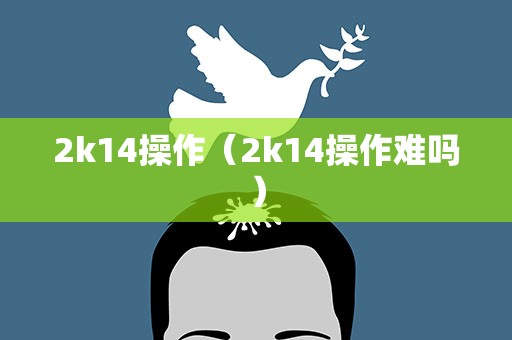 2k14操作（2k14操作难吗）