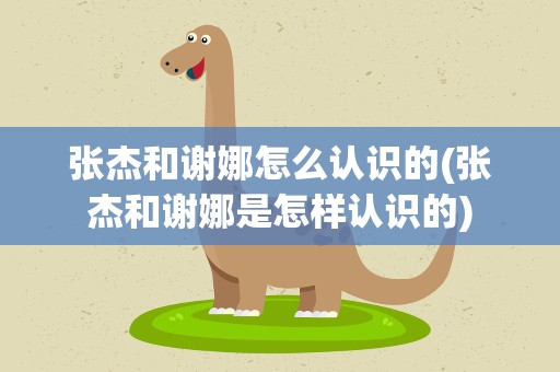 张杰和谢娜怎么认识的(张杰和谢娜是怎样认识的)