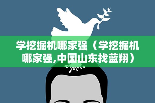 学挖掘机哪家强（学挖掘机哪家强,中国山东找蓝翔）