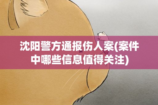 沈阳警方通报伤人案(案件中哪些信息值得关注)