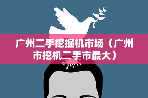 广州二手挖掘机市场（广州市挖机二手市最大）