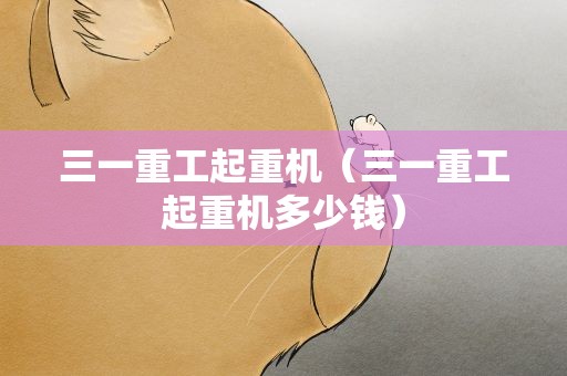 三一重工起重机（三一重工起重机多少钱）