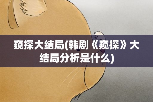 窥探大结局(韩剧《窥探》大结局分析是什么)
