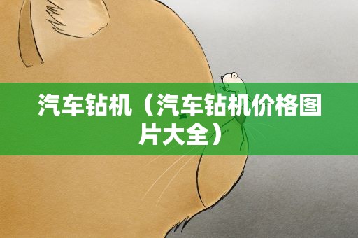 汽车钻机（汽车钻机价格图片大全）