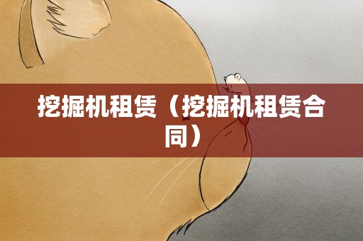 挖掘机租赁（挖掘机租赁合同）