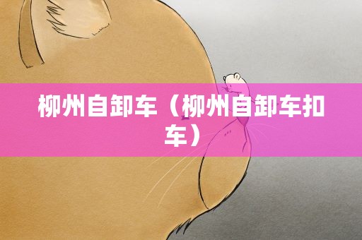 柳州自卸车（柳州自卸车扣车）