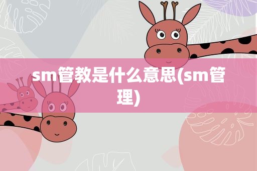 sm管教是什么意思(sm管理)