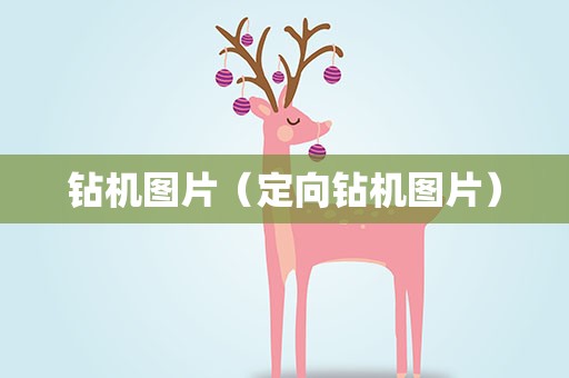 钻机图片（定向钻机图片）