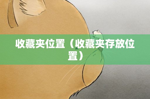 收藏夹位置（收藏夹存放位置）