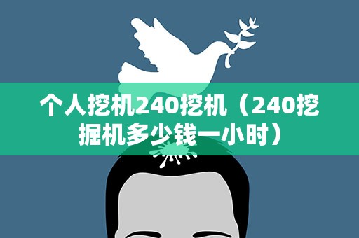 个人挖机240挖机（240挖掘机多少钱一小时）