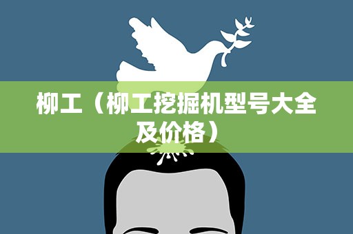 柳工（柳工挖掘机型号大全及价格）