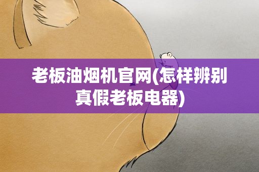 老板油烟机官网(怎样辨别真假老板电器)