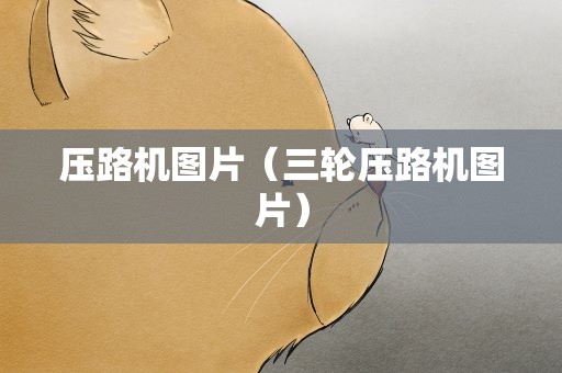 压路机图片（三轮压路机图片）