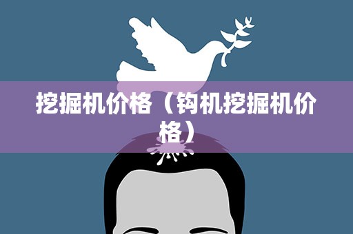 挖掘机价格（钩机挖掘机价格）