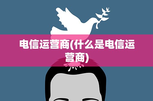 电信运营商(什么是电信运营商)