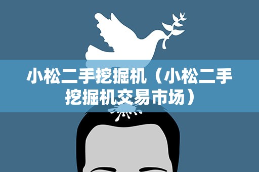 小松二手挖掘机（小松二手挖掘机交易市场）