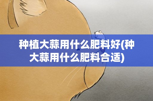 种植大蒜用什么肥料好(种大蒜用什么肥料合适)