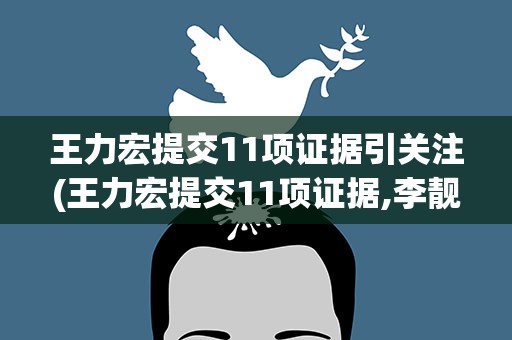 王力宏提交11项证据引关注(王力宏提交11项证据,李靓蕾或将面临6个月的刑事处罚)